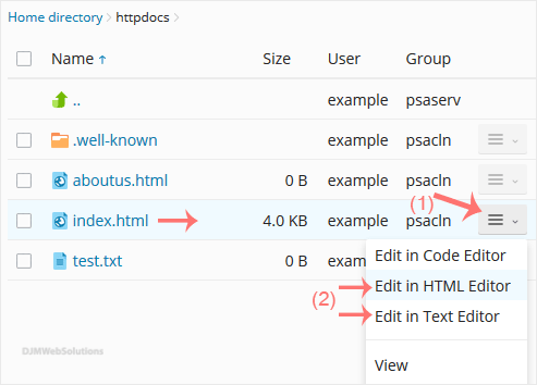 plesk-filemanager-edit-file-contextmenu.gif